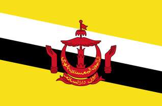 Vlag Brunei