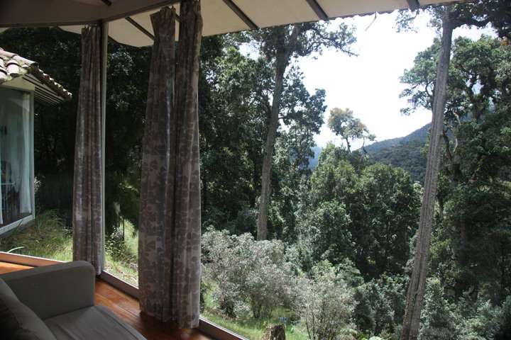 Enorme ramen zorgen voor een prachtig uitzicht op het bos