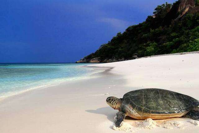 Zonvakantie bestemmingen voor april