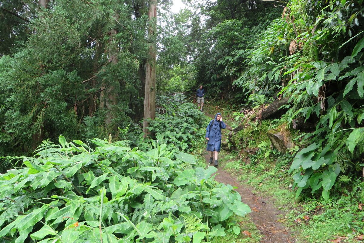 Wandeltocht door de heuvels van S&atilde;o Miguel