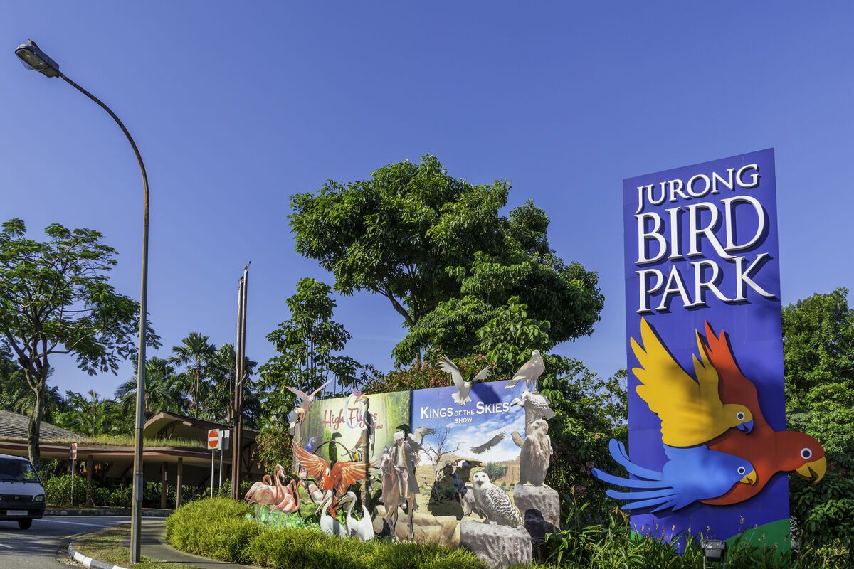 Jurong Bird Park