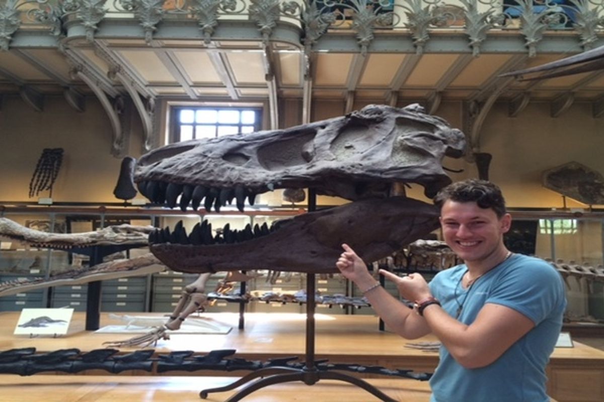 Met de schedel van een Tyrannosaurus-Rex