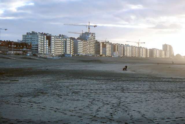 De Belgische kust