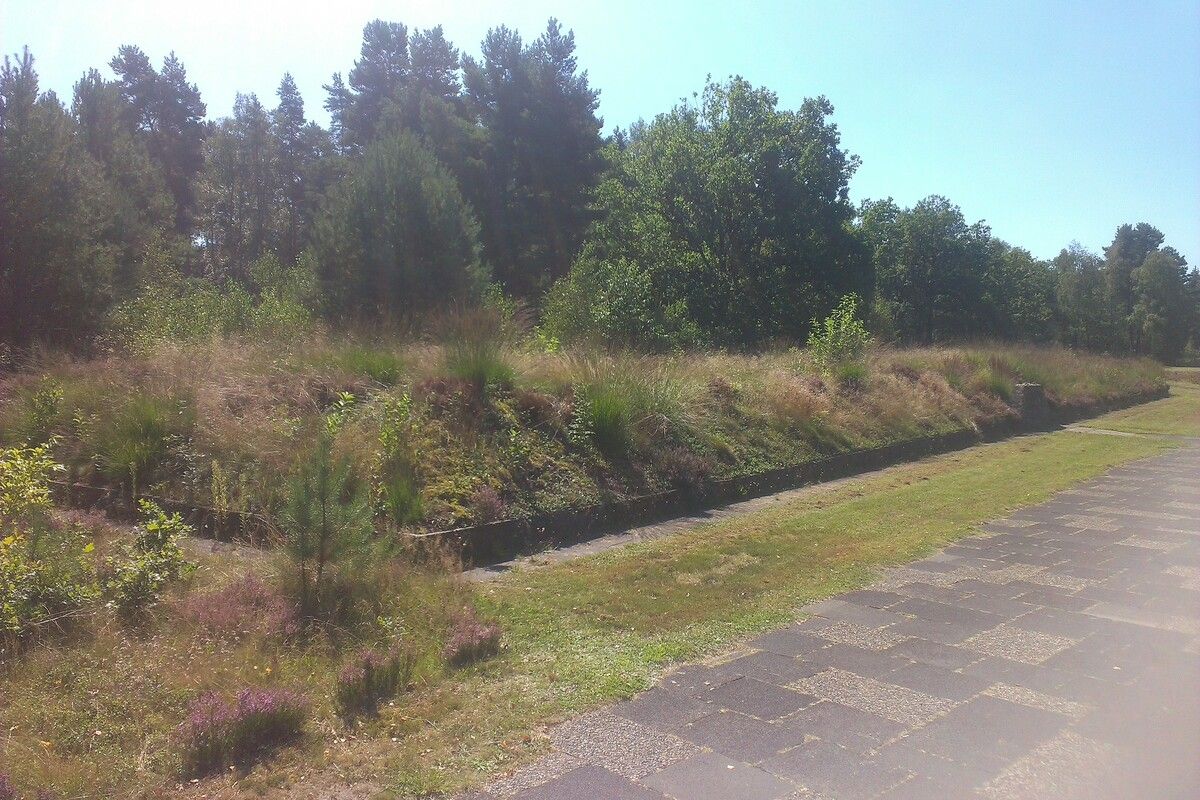 Massagraf in Bergen-Belsen