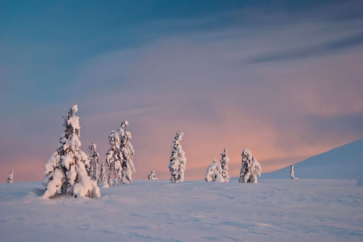 Lapland in de winter