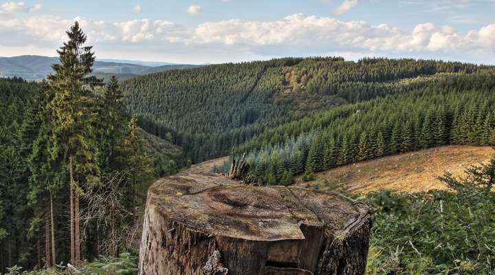 Prachtige natuur van het Sauerland