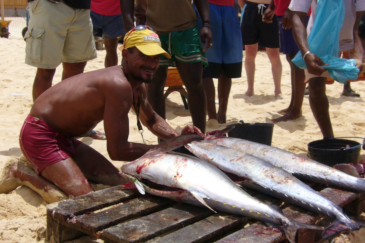 Vis kuisen op het strand Kaapverdie