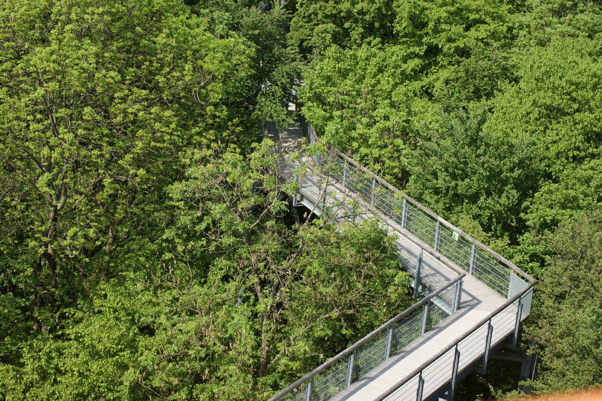 Nationaal Park Hainich