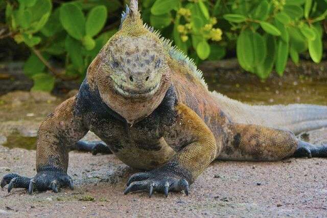 Duurzaam toerisme in Ecuador