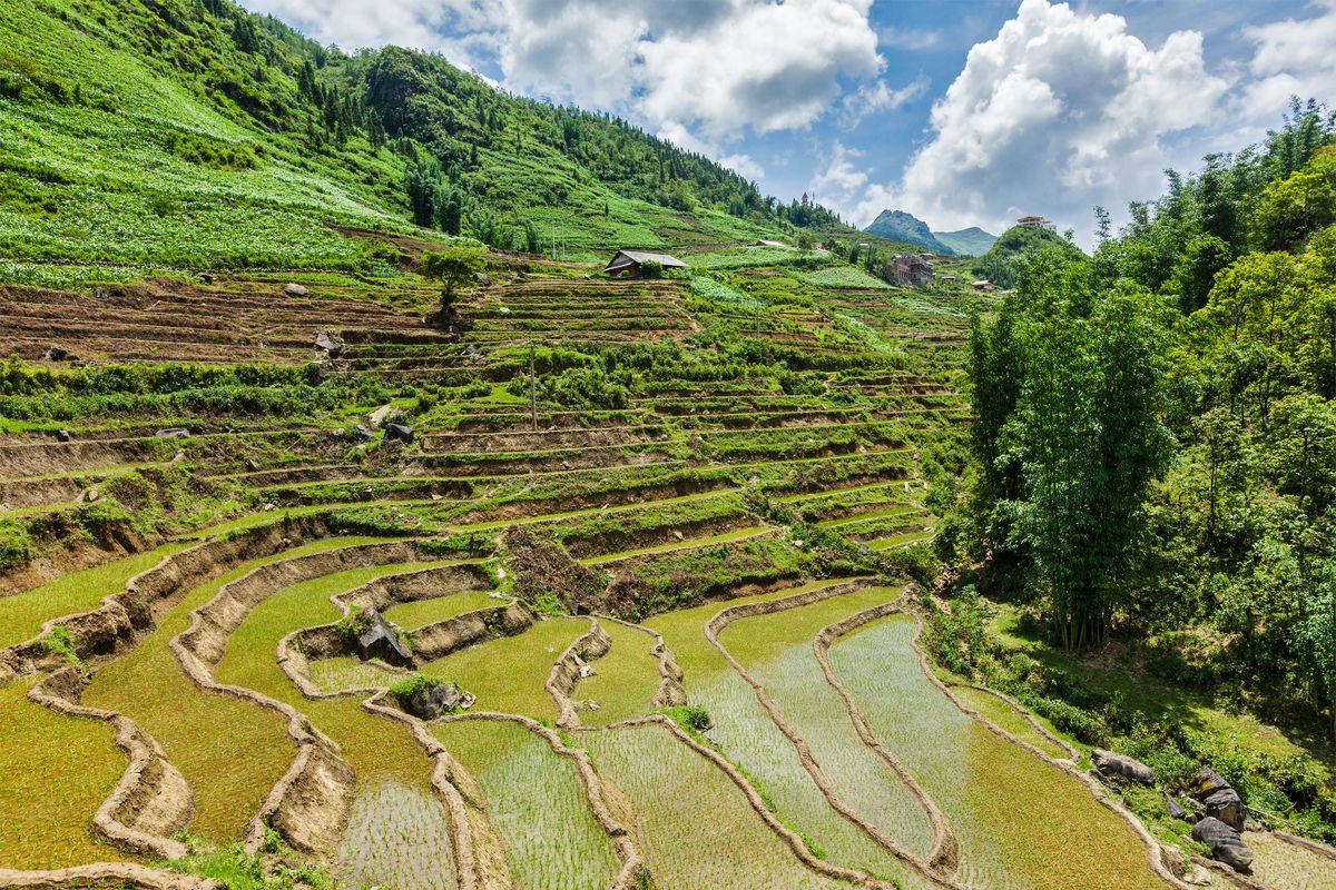 Het landschap van Vietnam