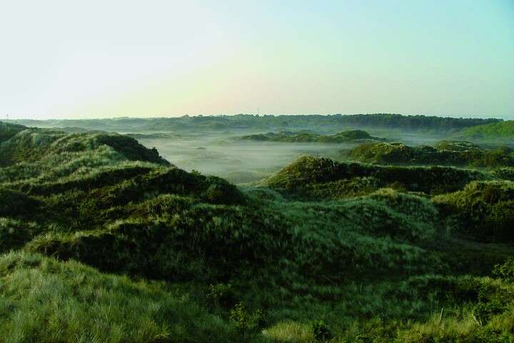 De groenrijke natuur van Spiekeroog