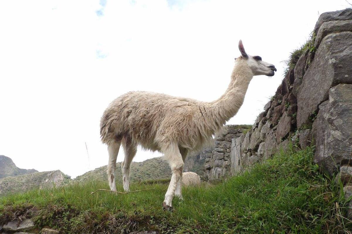 Foto van deze vakantie