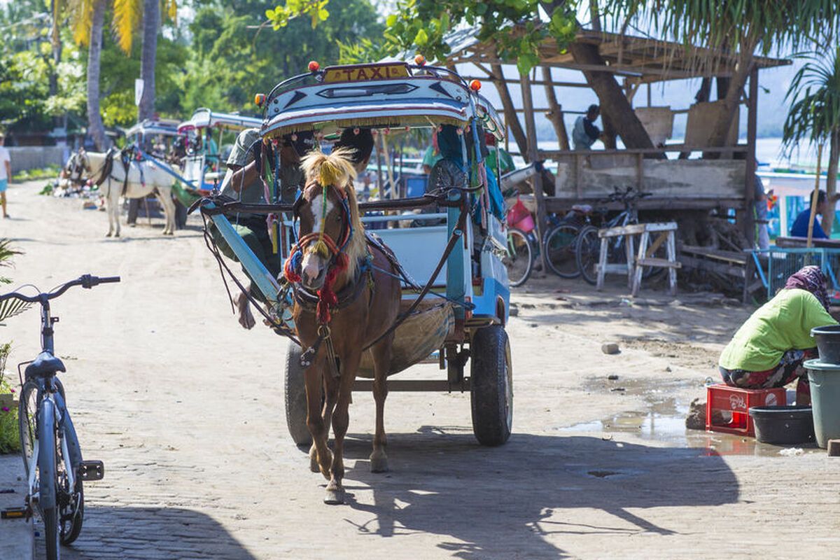 De cimodo, onderweg zijn te paard en wagen