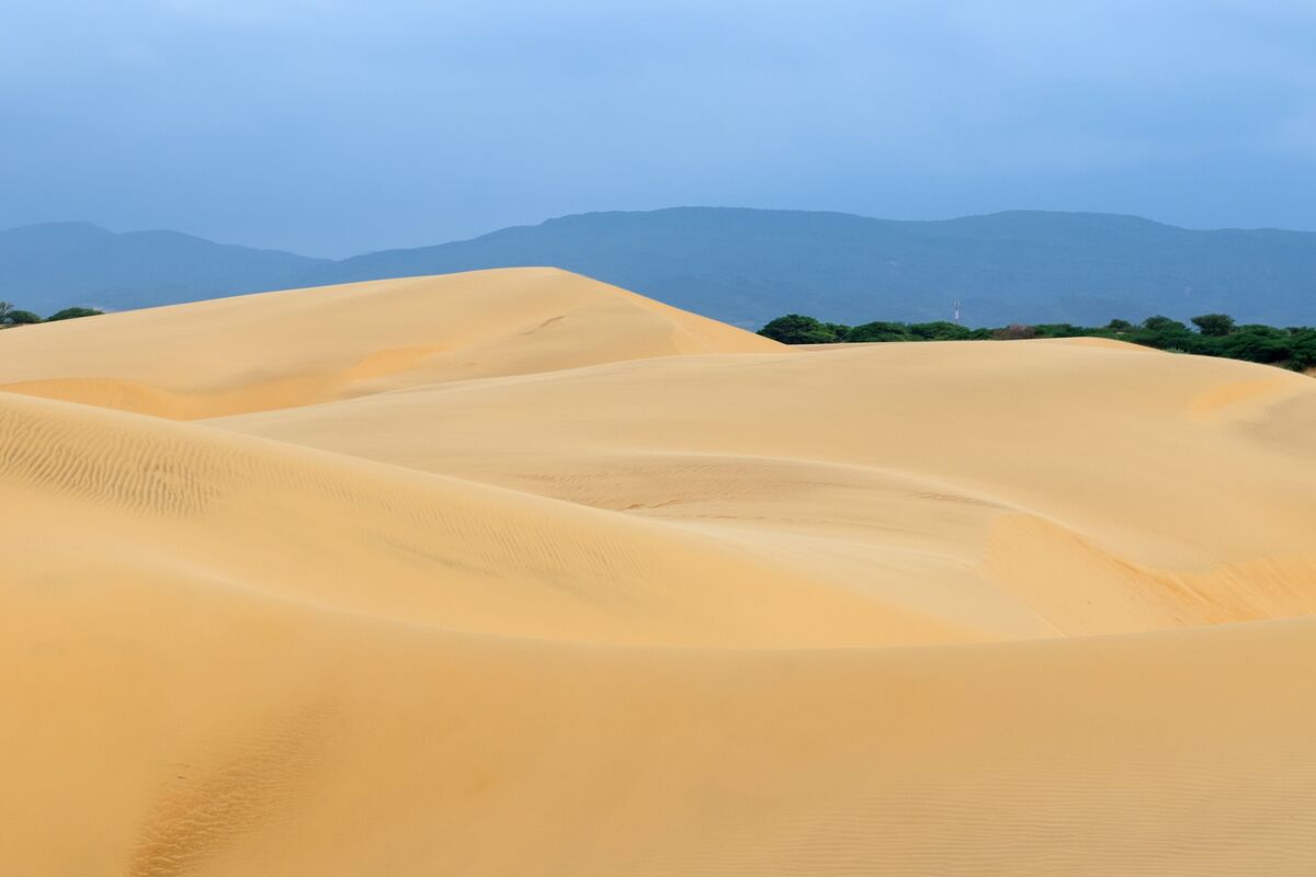 Médanos: de zandduinen