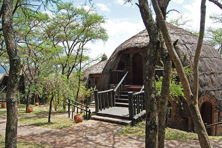 Lodge safari