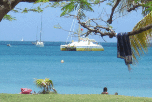 Reis naar de zon: Martinique
