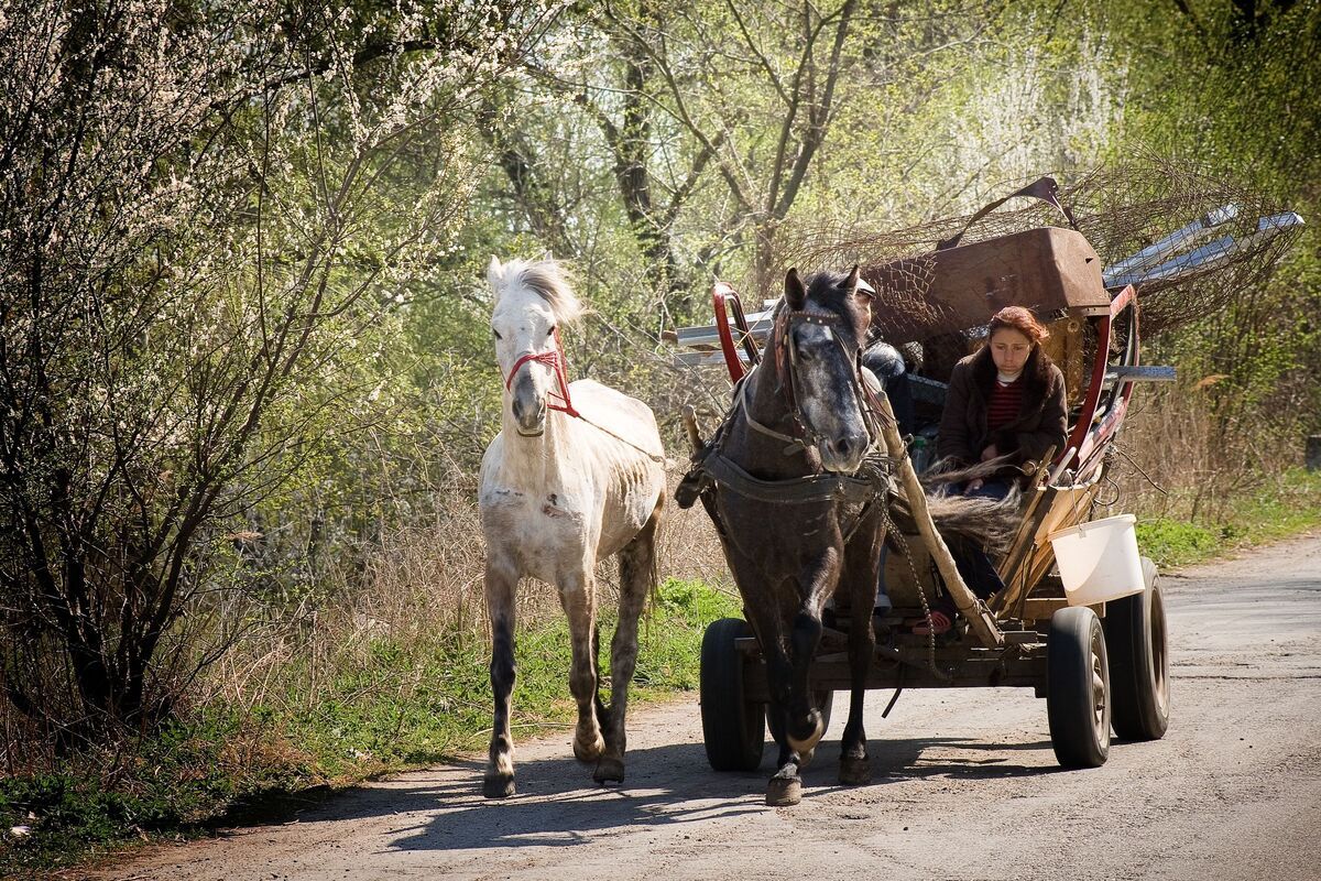 Zigeuner met paard en wagen, gypsy, Roemenie