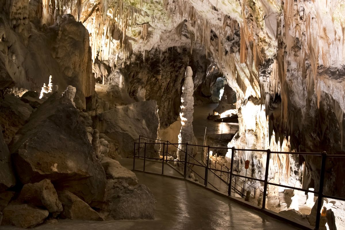 Grotten van Postojna, Sloveni�
