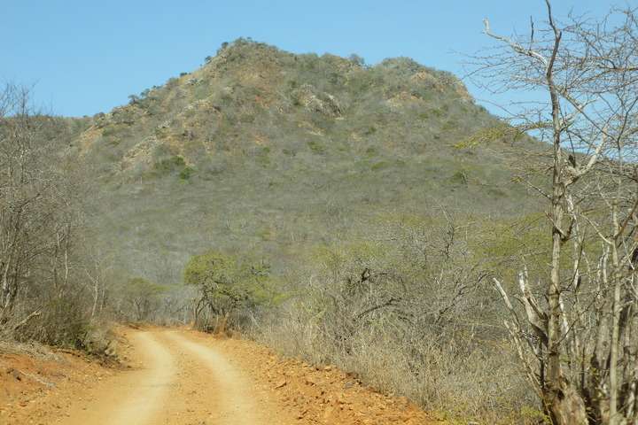 Washington Slagbaai National Park