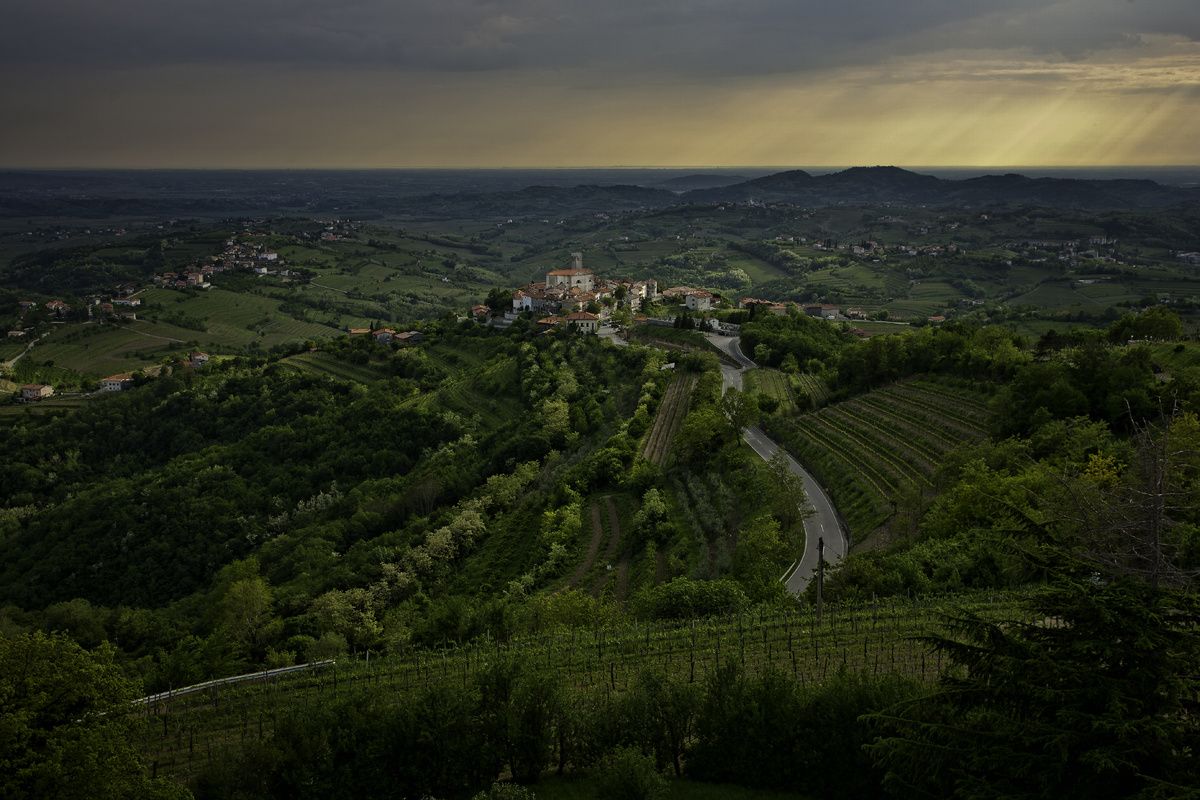De groene wijnstreek Brda