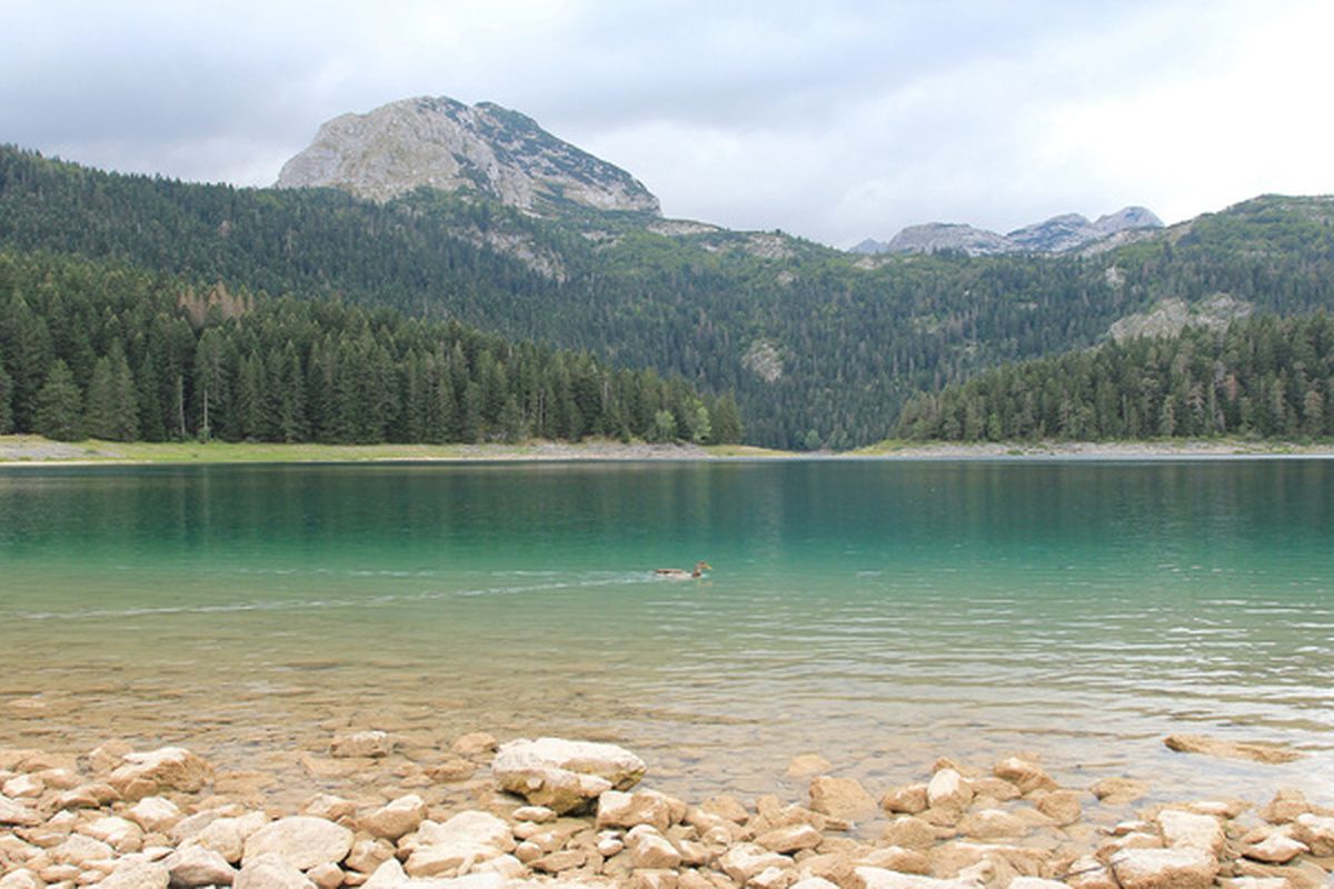 Het nationale park Durmitor