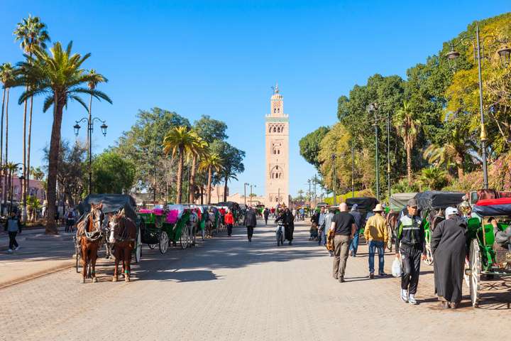 Koets in Marrakech