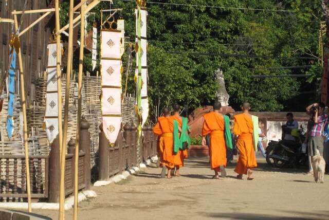 Stoere backpacker of luxepaardje?