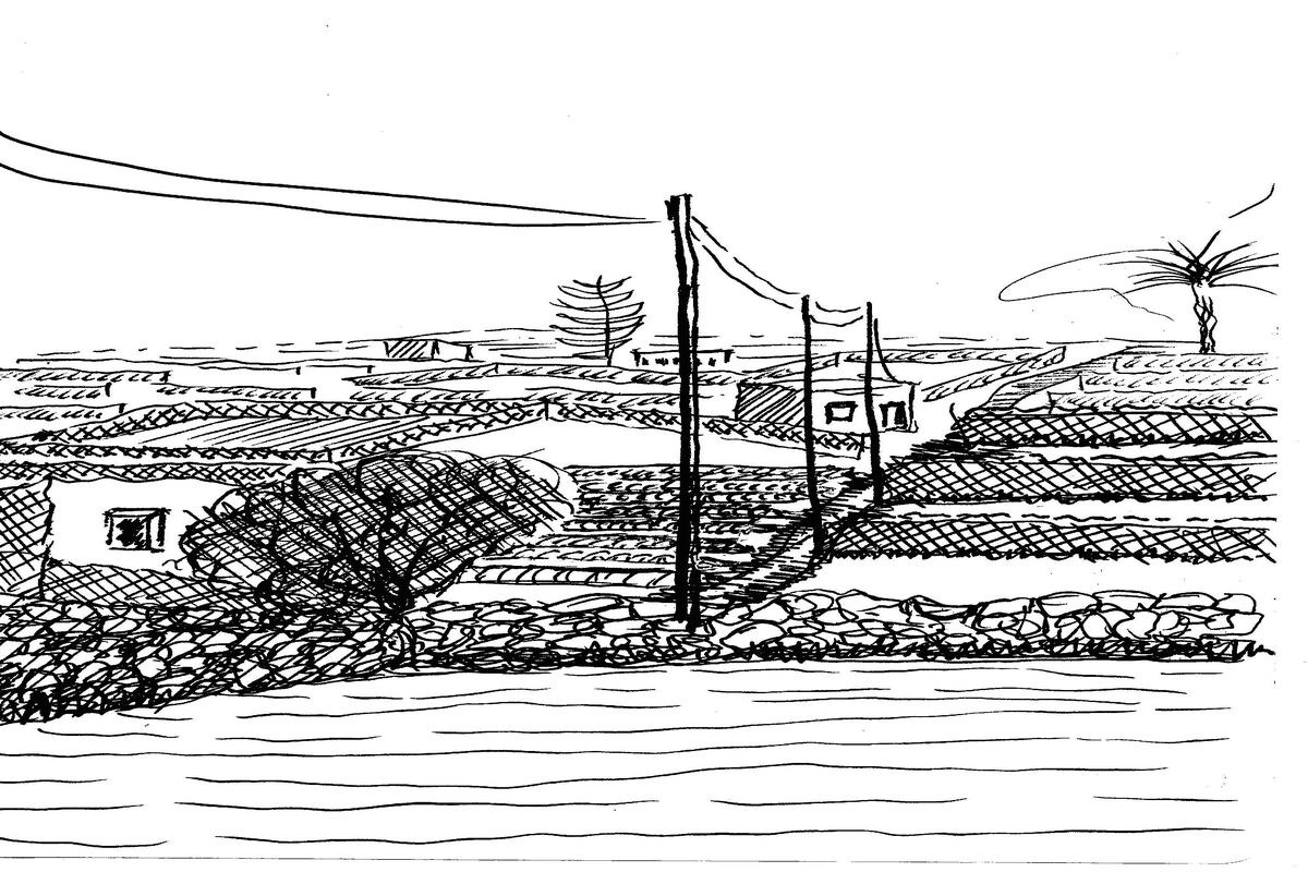 tekening Matla veld Ramla Bay, Malta