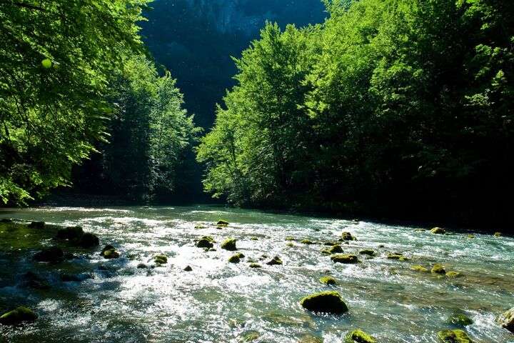 Rivier de Kupa die door Nationaal Park Risnjak loopt