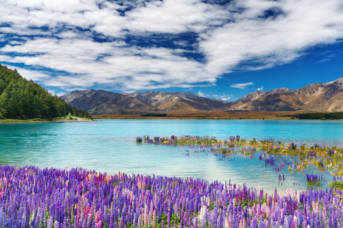 Lake Tekapo in Nieuw-Zeeland