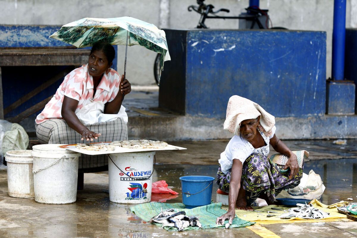 Vismarkt in Negombo