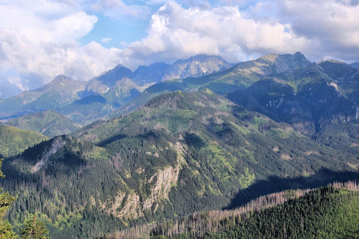 Tatra Nationaal Park