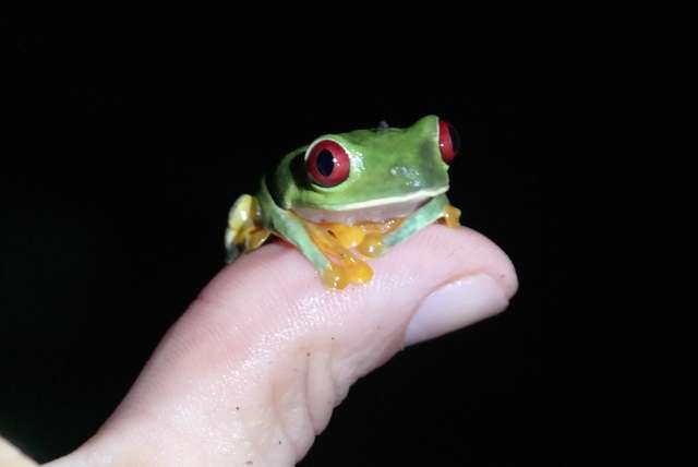 Costa Rica en Panama