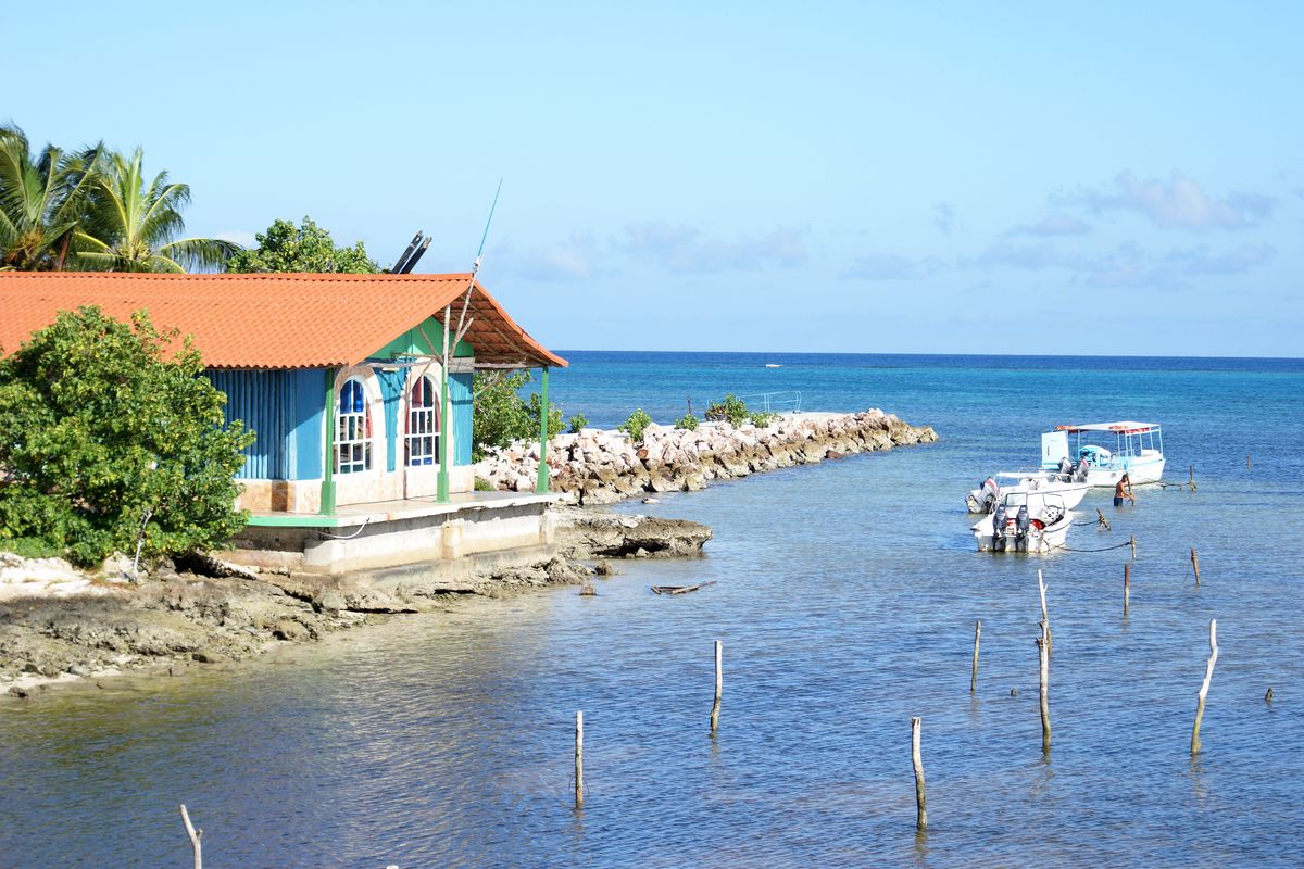 Interview met Saskia Griep