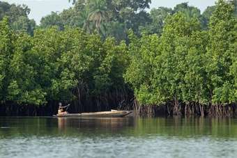 Gambia