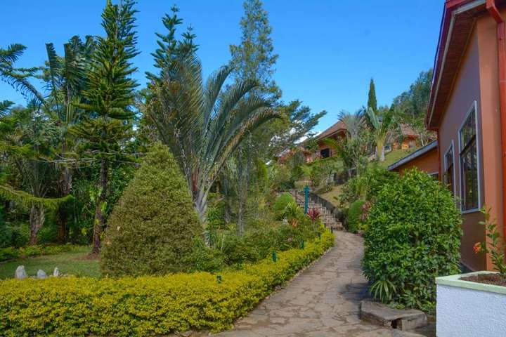 Prachtige groene tuinen