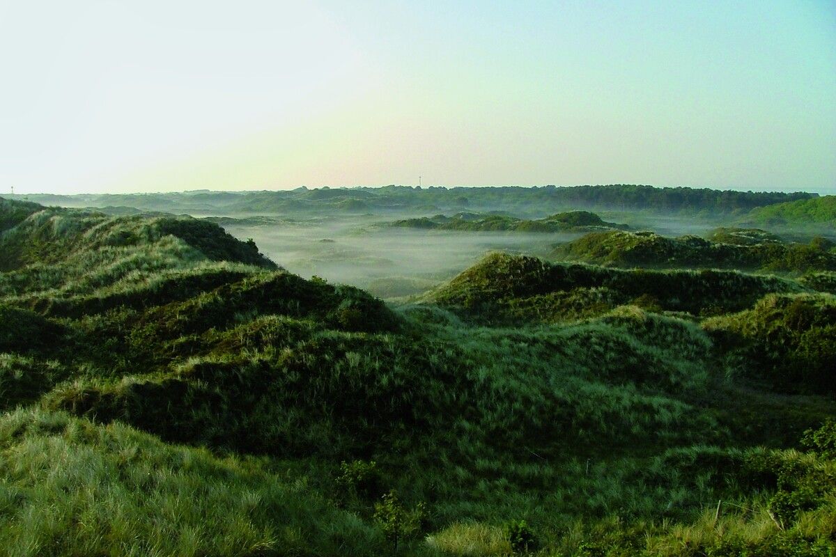De groenrijke natuur van Spiekeroog