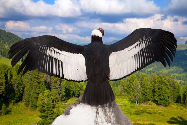 Ronddwalen in Colombia