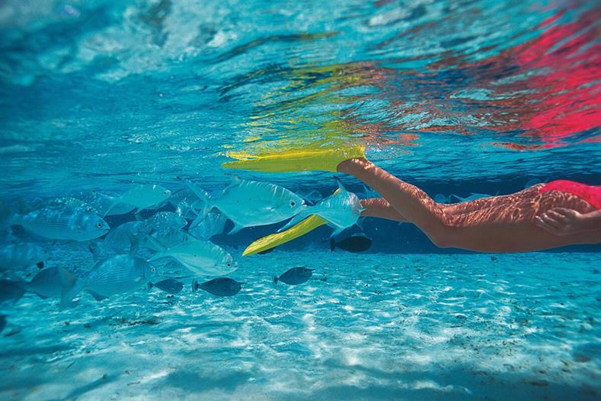 Duiken op de Malediven