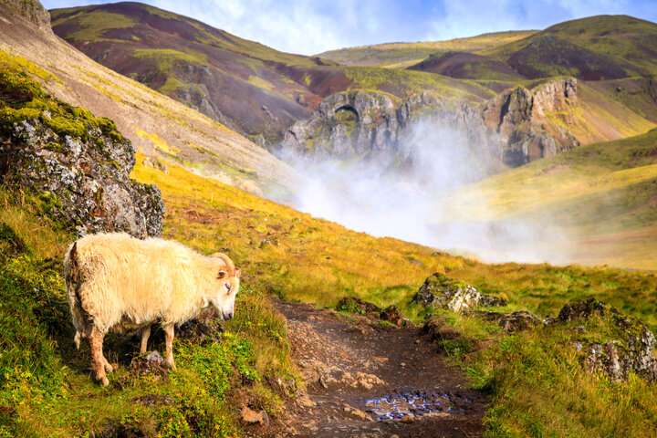 Ontspan in één van de hotsprings die het gebied rijk is 