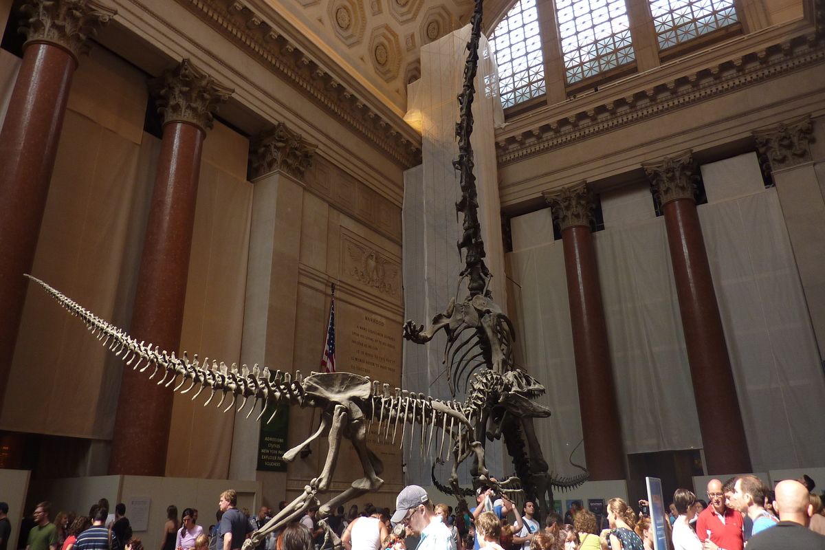 American Museum of Natural History