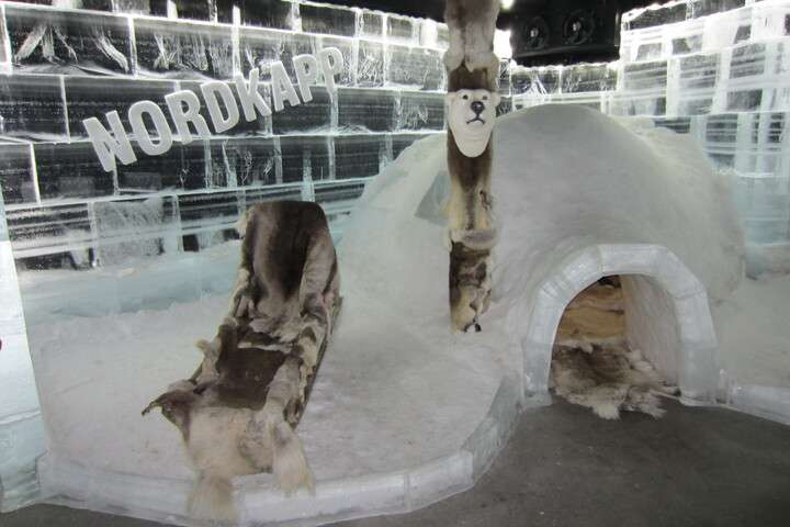 De ijsbar met iglo's 