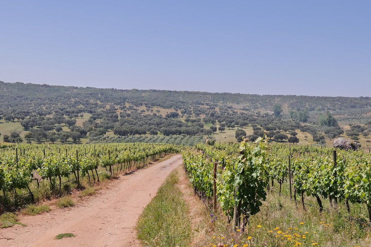 Wandeling door Serra dos Lou��es