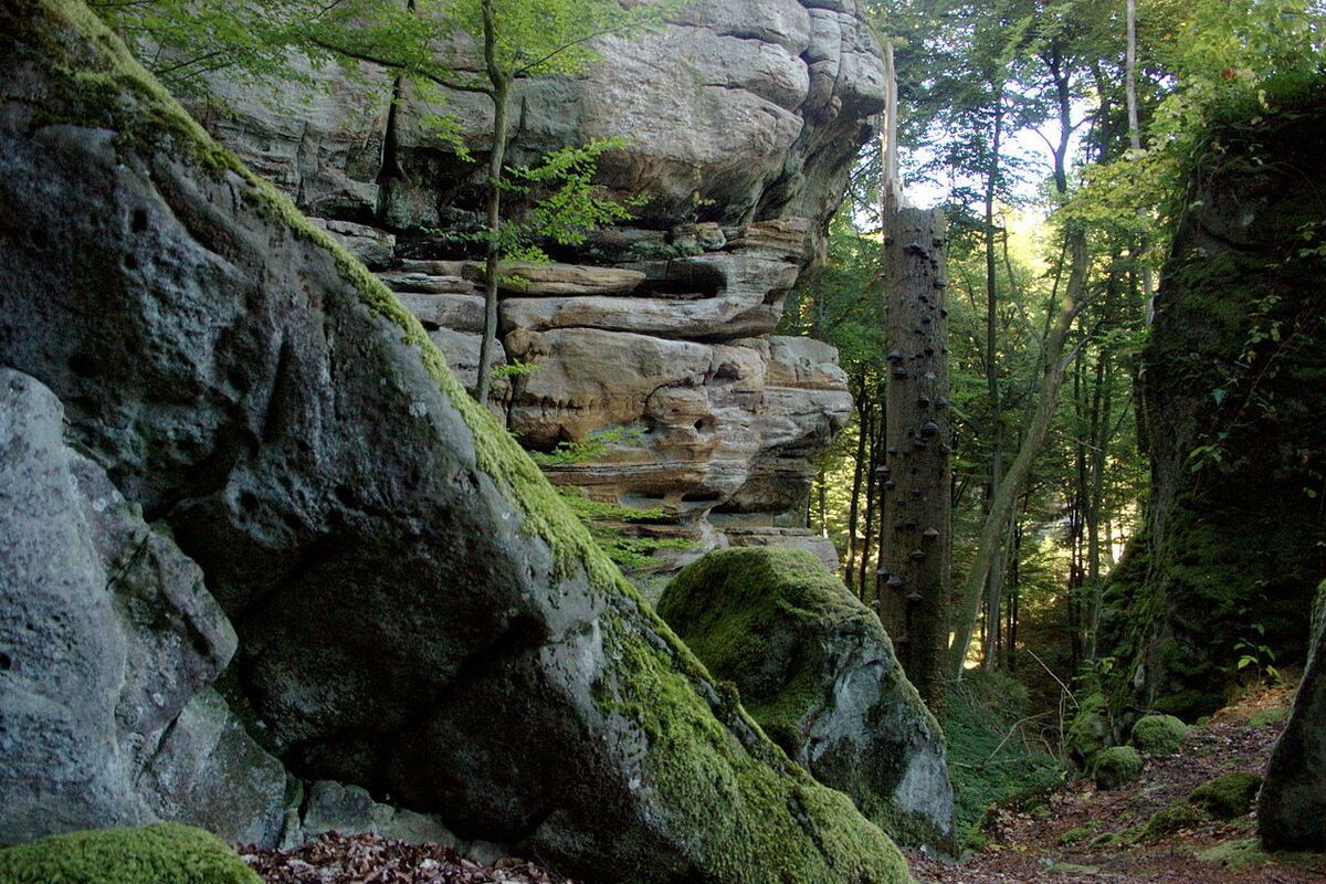 Natuur van Klein Zwitserland