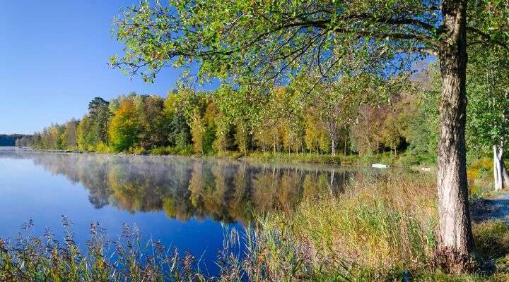 Mooi Zweeds herfstlandschap