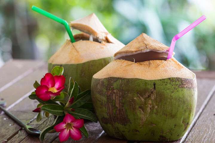 Groene kokosnoot als drankje