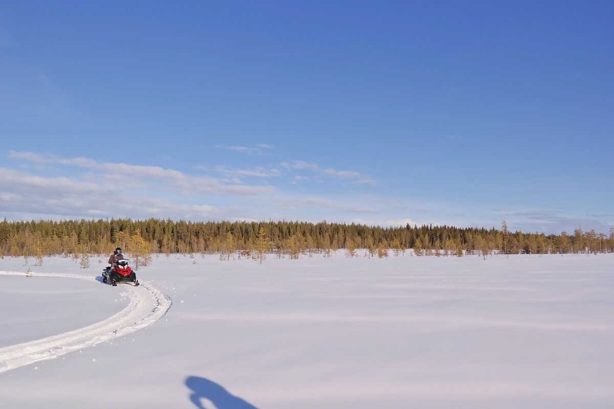 Een sneeuwscootertocht door de natuur van Zweeds Lapland