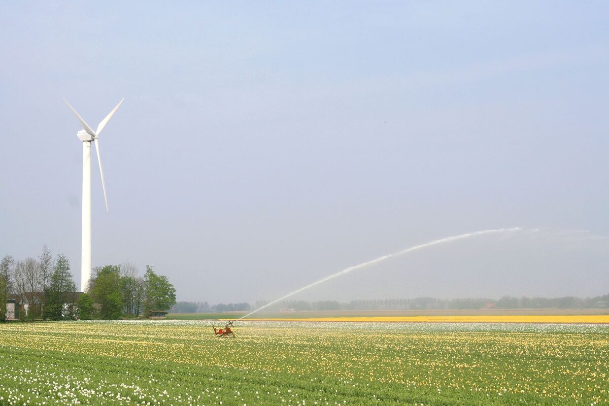 Noordoostpolder Nederland