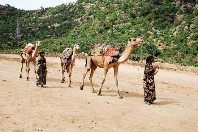 Terugkomst in Ethiopië