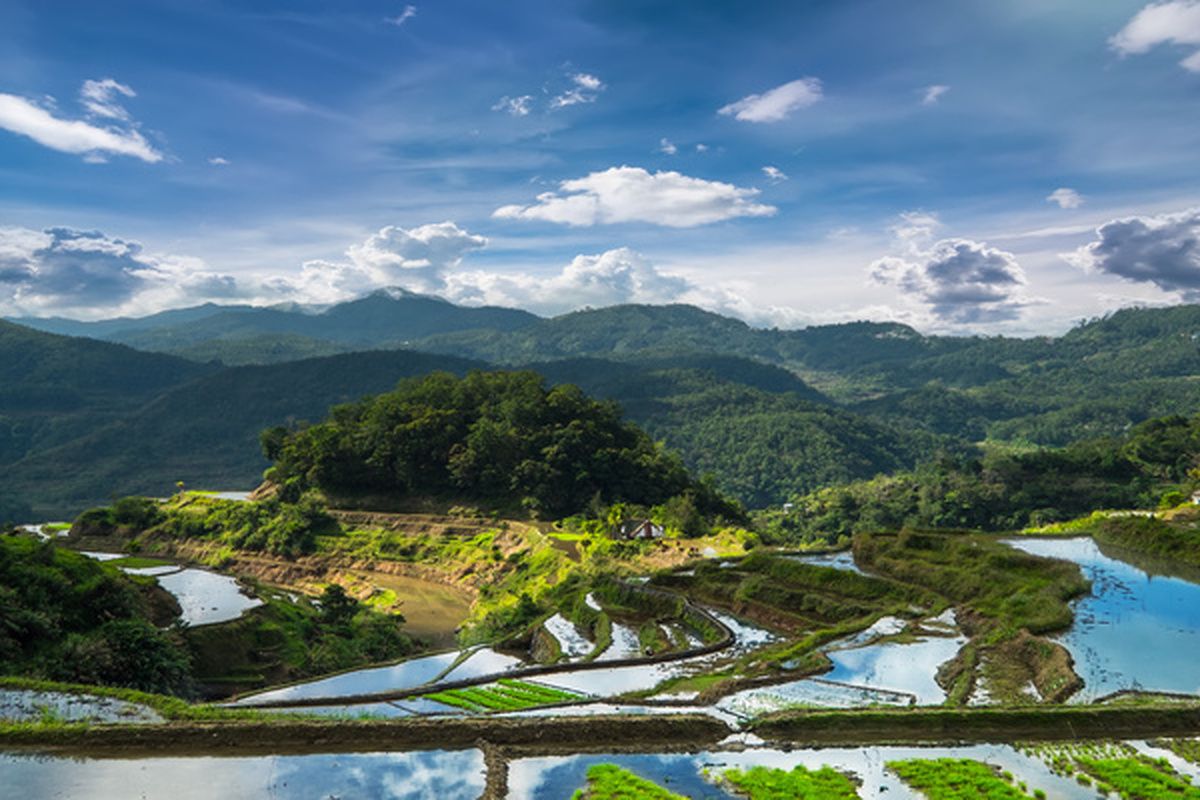 Bij Banaue vindt je de meest mooie en indrukwekkende rijstterrassen van Azië
